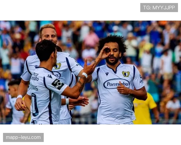 法马球队结构深度解析：重塑职业足球未来格局的关键力量