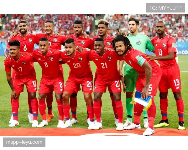 突尼斯2026世界杯阵容预测 萨西领衔北非劲旅能否再现黑马本色